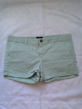 American Eagle Outfitters Sage Green Casual Cotton Shorts